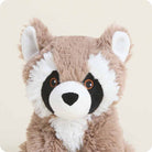A close-up of the Raccoon Junior by Warmies plush toy, showing its head, fuzzy brown fur, white muzzle, and distinctive black-and-white eye patches.
