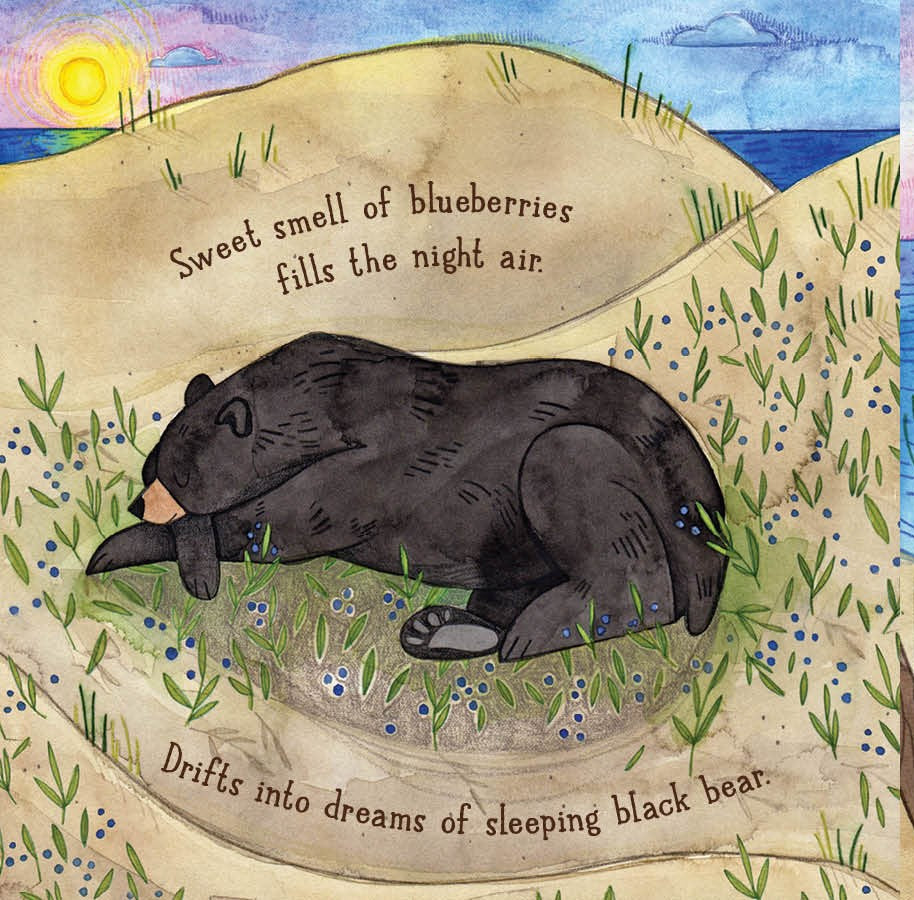 Illustration of a black bear lying down with text about blueberries and dreams.