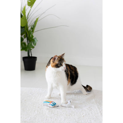 Sardines Cat Toys - Set of 2 by Pearhead