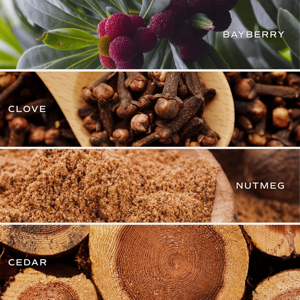 Collection of bayberry, clove, nutmeg, and cedar wood images with labels.