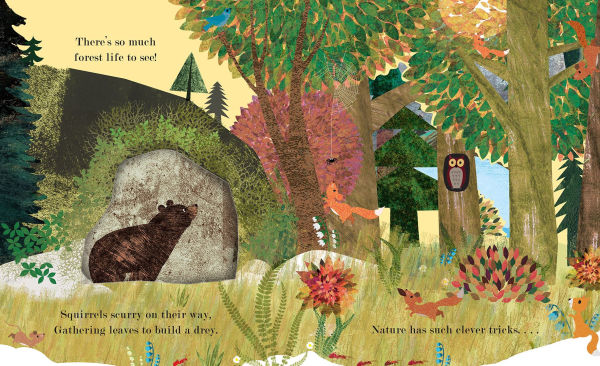 Illustrated forest scene with animals and nature elements