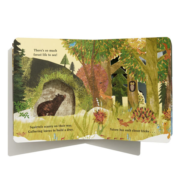 Children's book with a forest scene and animals on the cover