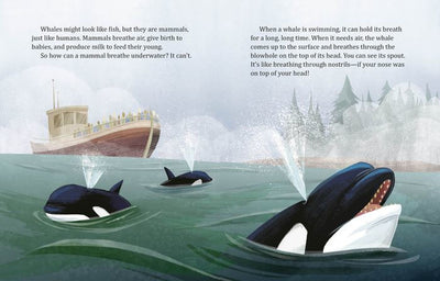 My Little Golden Book About Whales - Hardcover