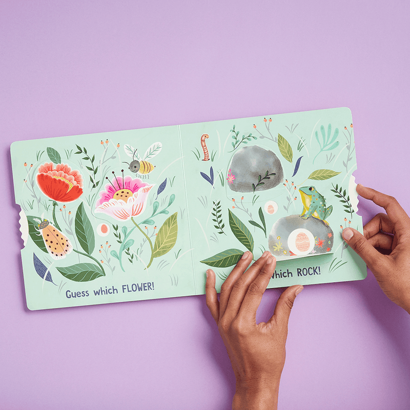 Eggs Are Everywhere - Interactive Board Book