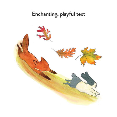 A Kit Story - Board Book