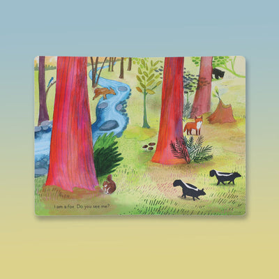 A Kit Story - Board Book