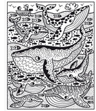 Black and white illustration of whales and fish on a coloring page.
