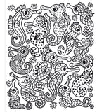 Coloring page with intricate seahorse designs on a white background