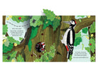 Illustration of a woodpecker on a tree trunk with leaves and insects, part of a larger scene.