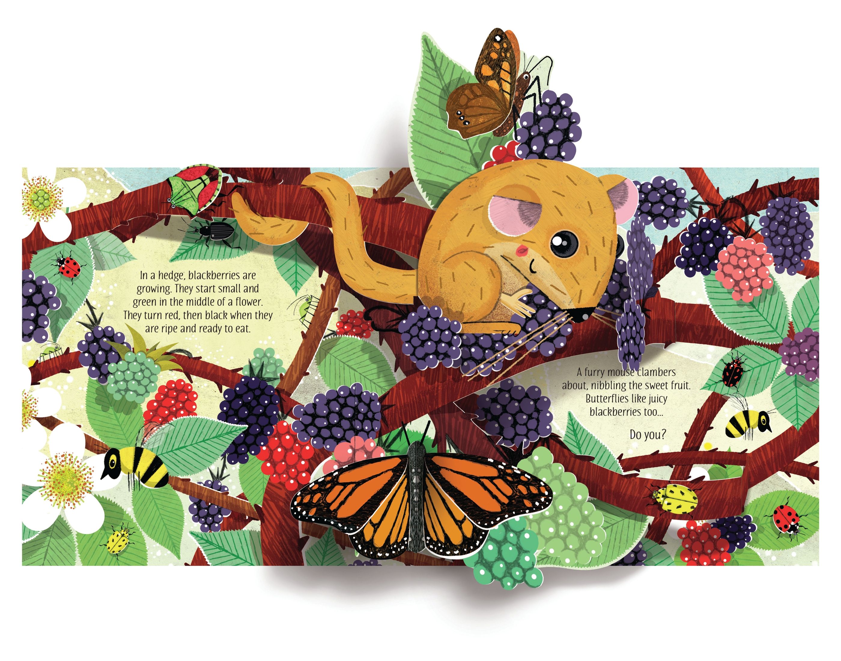Illustration of a mouse among berries and butterflies on a branch with text underneath.