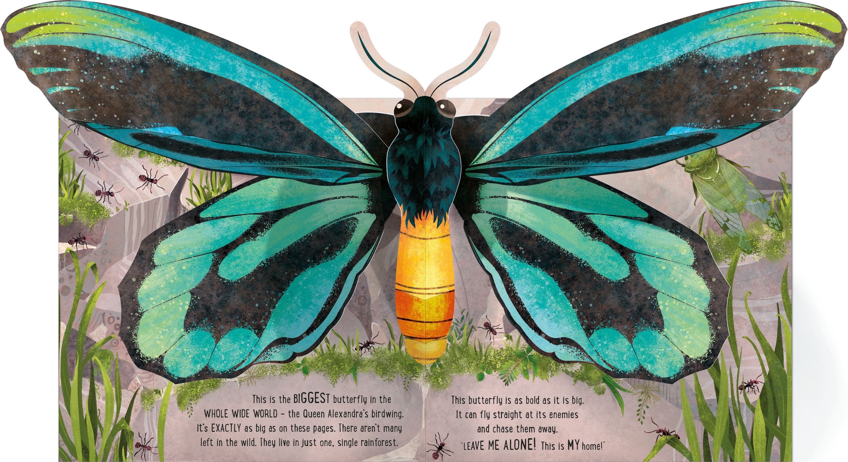 Illustration of a butterfly with detailed wings and body on a grassy background
