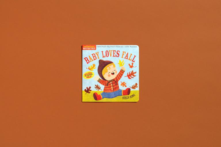 Baby Loves Fall baby board book by Stella Gribble, featuring a colorful illustration of a baby in autumn clothing with falling leaves, centered on a solid terracotta orange background.