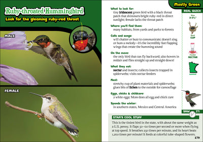 The Kids' Guide to Birds of Minnesota by AdventureKEEN