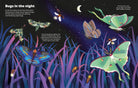 Illustration of bugs in a night scene with text about nocturnal animals.
