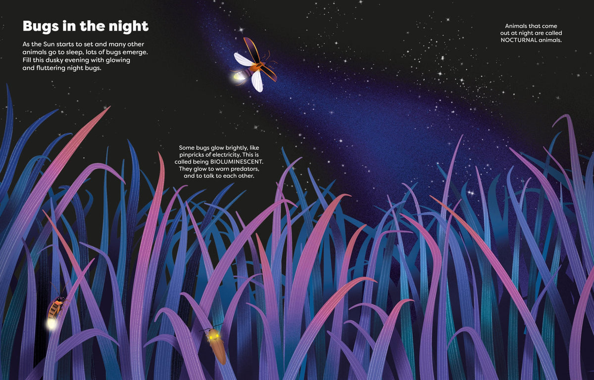 Illustration of bugs in a grassy field at night with a starry sky.