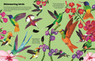 A colorful illustrated page titled 'Shimmering birds' showing multiple hummingbirds among bright flowers on a light green background, with small text blocks throughout.
