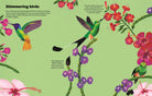 A colorful educational children's book page titled 'Shimmering birds' on a light green background, featuring two hummingbirds, pink and purple flowers, and descriptive text.