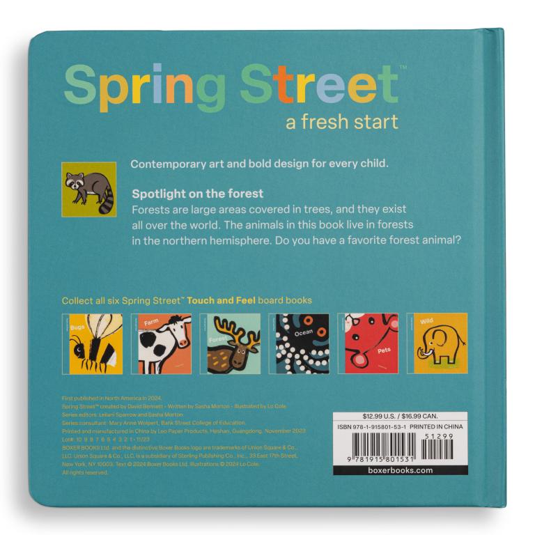 Back cover of a Spring Street book with text and illustrations on a teal background