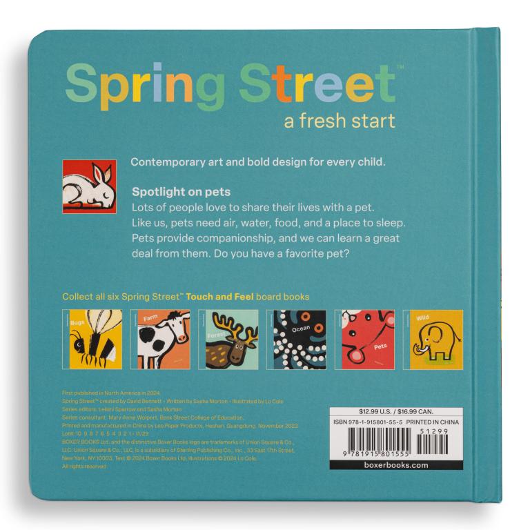 Back cover of a Spring Street book with text and illustrations on a teal background