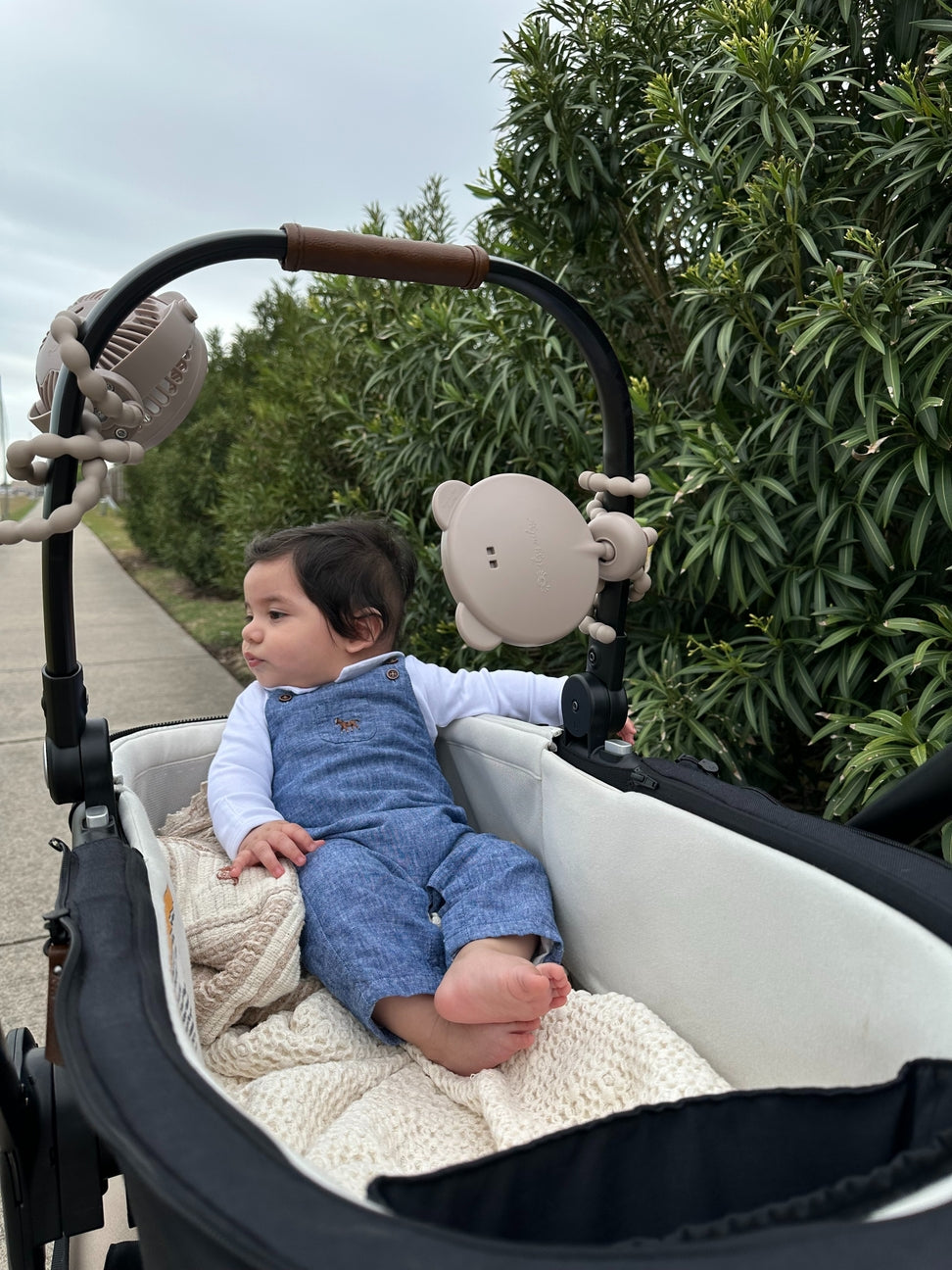 Baby in a stroller with a teddy bear toy, surrounded by greenery.