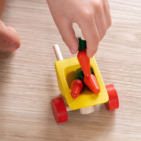 Vegetable Garden by Plan Toys