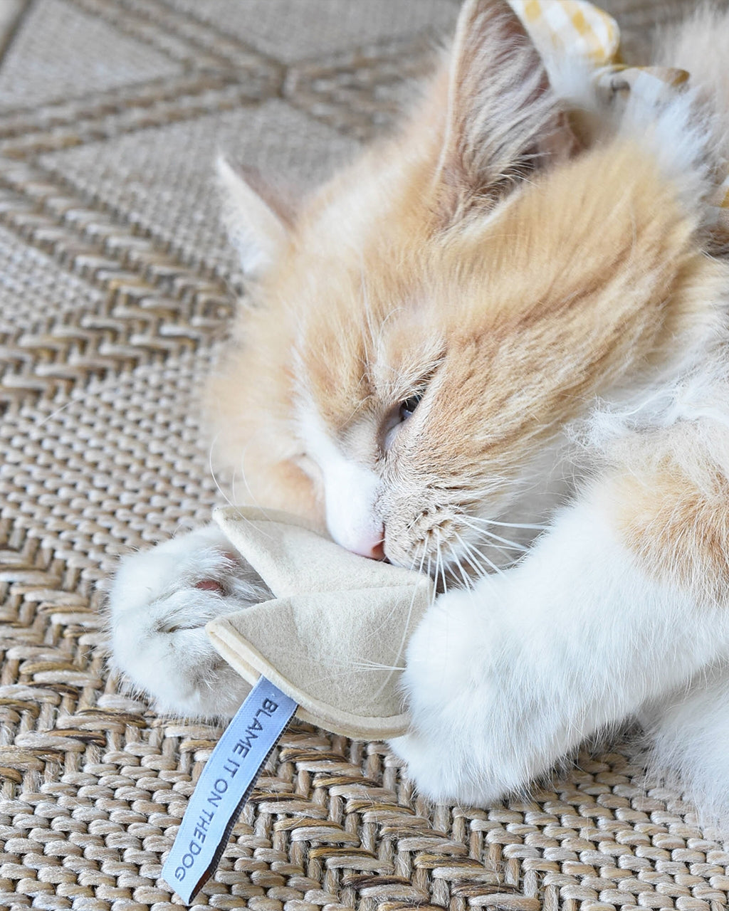 Cat playing with a beige catnip toy on a textured surface
