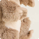 Close-up of a plush bear with a soft texture on a light background