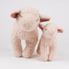 Two fluffy toy sheep on a light background