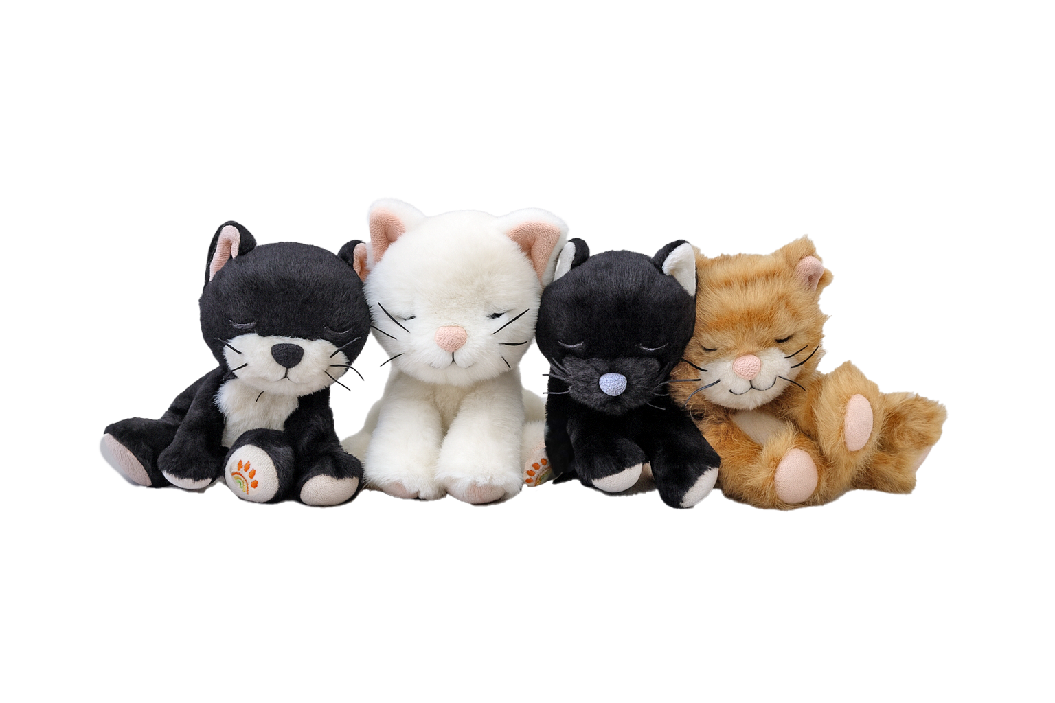 Four plush cat toys in different colors on a white background