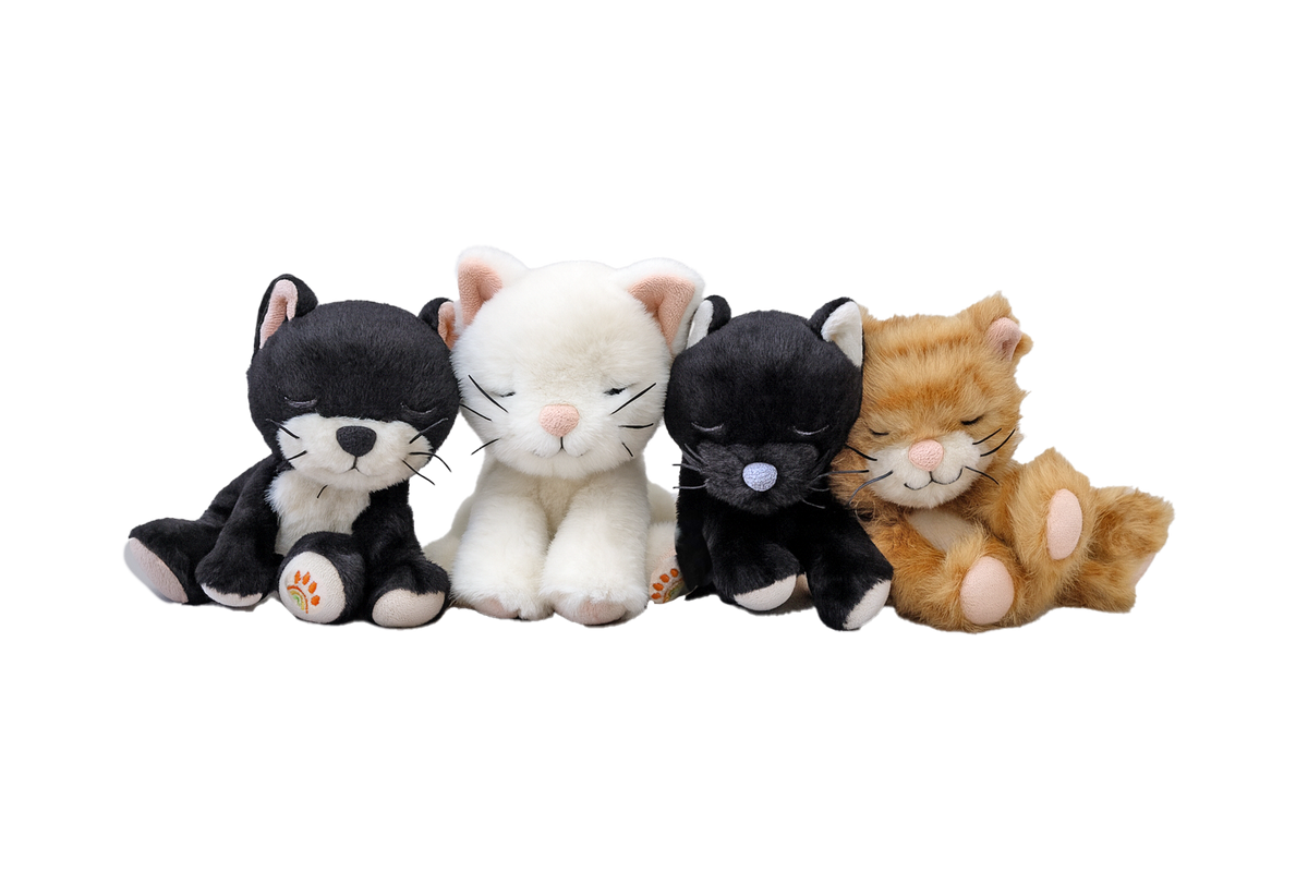 Four plush cat toys in different colors on a white background