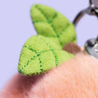 Green leaf-shaped keychain attached to a dog's collar against a light purple background