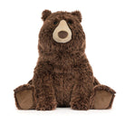 A brown plush stuffed bear sitting upright against a plain white background.