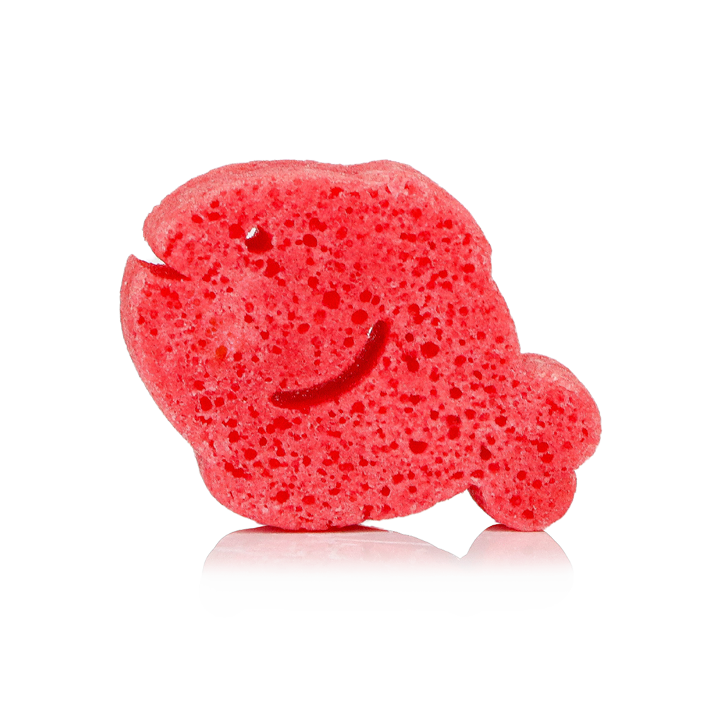 Red sponge shaped like a fish on a white background