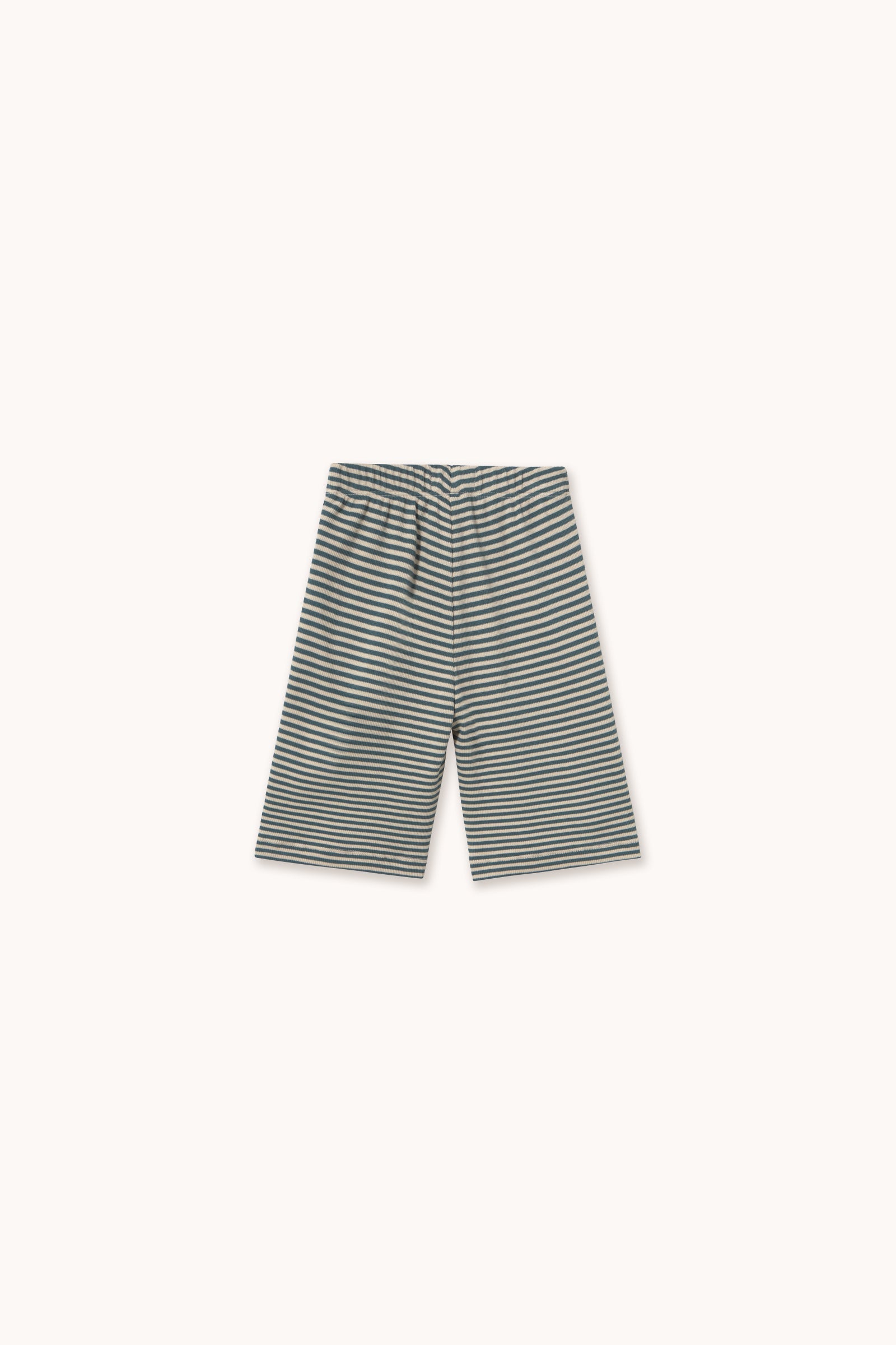 Striped pants on a white background