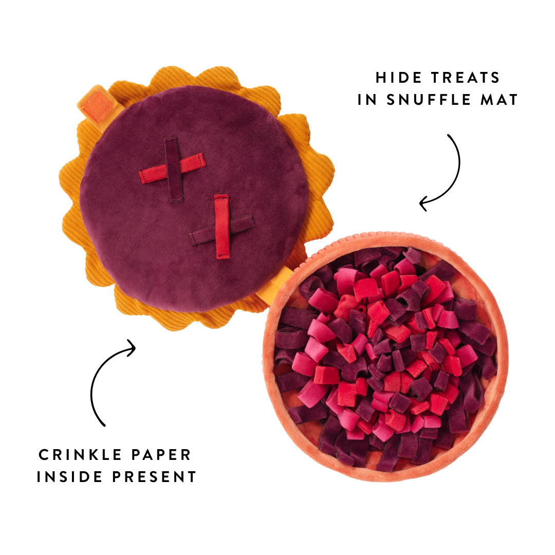 A plush dog toy set featuring a round purple snuffle mat with orange scalloped edges and two red stitched crosses, shown next to an open orange bowl filled with crinkle paper treats. Text overlays read 'HIDE TREATS IN SNUFFLE MAT' and 'CRINKLE PAPER INSIDE PRESENT' on a white background.