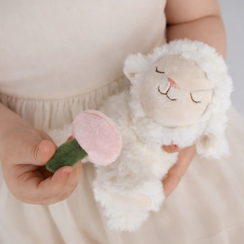Child holding a soft toy resembling a sheep with a pink flower.