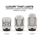 Three stages of a child car seat system on a white background with text about weight capacity.