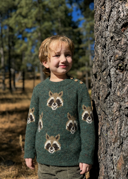 Child wearing a sweater with raccoon patterns standing next to a tree in a forest.