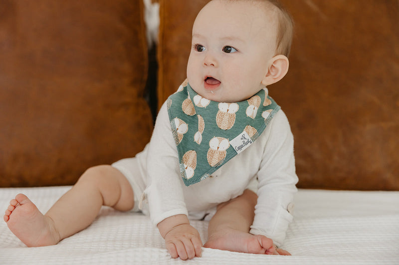 Single Bandana Bib - Ivy by Copper Pearl