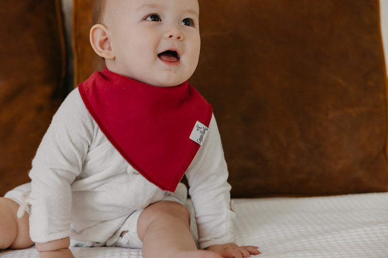 Single Bandana Bib - Ivy by Copper Pearl