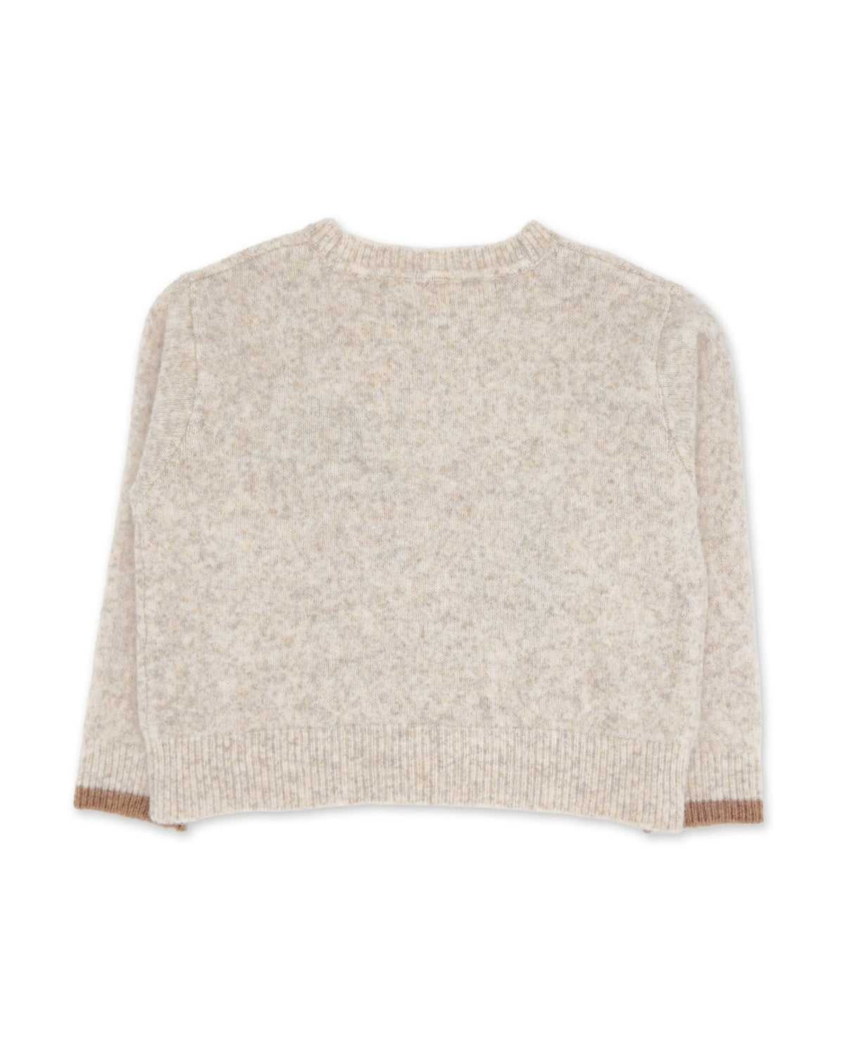 A cropped long-sleeve knit sweater in a heathered oatmeal beige color, shown from the back against a plain white background.