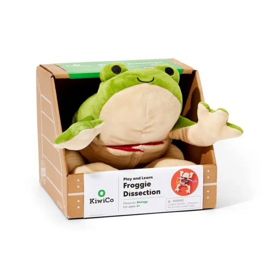 Froggie Dissection Toy by KiwiCo