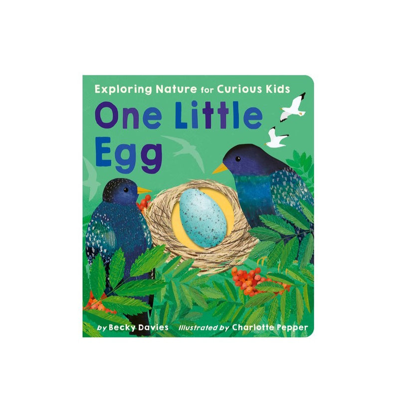 One Little Egg - Board Book