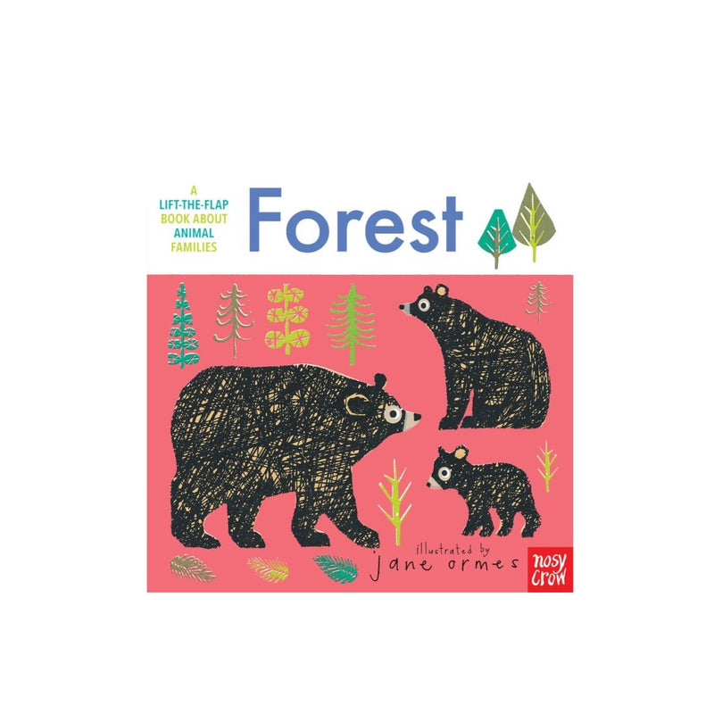 Animal Families: Forest - Board Book