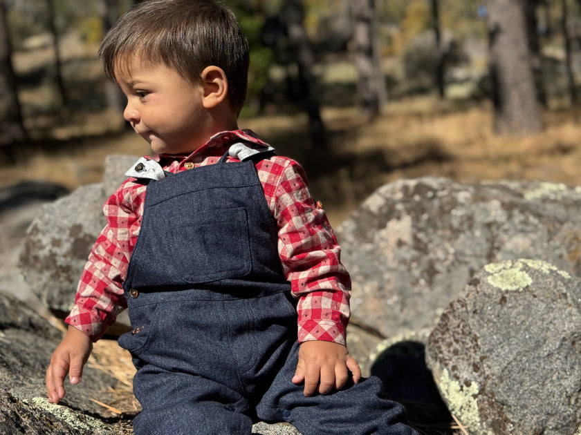 A young toddler wearing a red and white checkered button-down shirt under dark blue denim overalls.