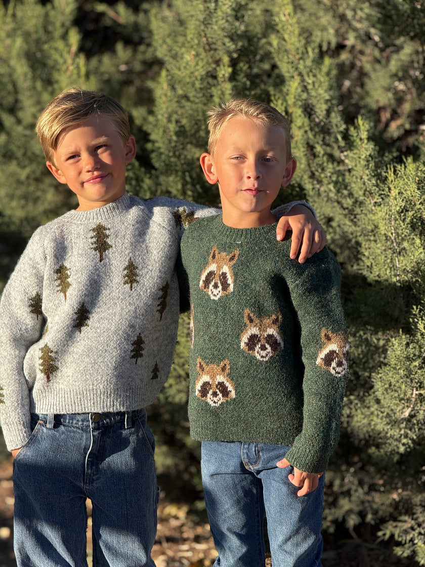 Two young boys standing outdoors in front of green bushes, wearing knit sweaters. The boy on the left wears a light gray sweater with brown pine tree motifs, and the boy on the right wears a dark green sweater with raccoon face motifs.