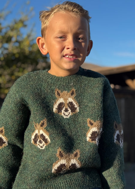 A young boy wearing a dark green knit sweater with knitted raccoon faces, photographed outdoors in warm sunlight against a blue sky.