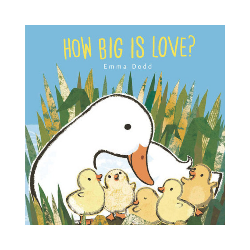 How Big Is Love? - Board Book