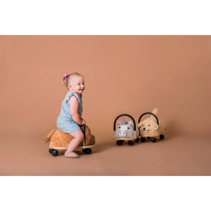 Wheely Bug Ride On Toy - Small by DAM