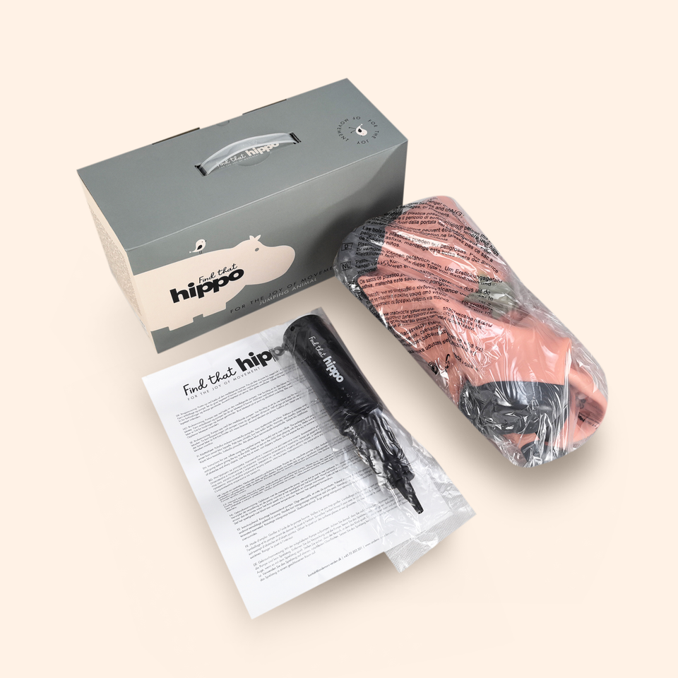 Product packaging with a hair dryer, nozzle, and user manual on a beige background